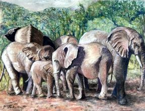 Elephants of Amakhosie by Diane Warburton (Ref: 126)