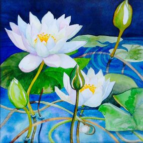 2020apr-119-sally-steele-water-lily-3